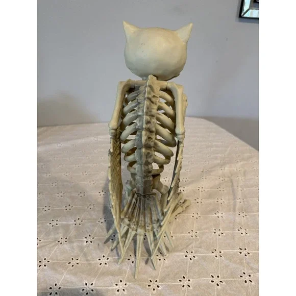 Creepy Owl Skeleton Halloween Decor Bones Dead Bird 12" Spooky - Picture 3 of 4